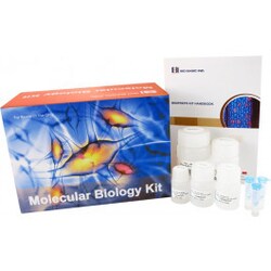 Alkali Scientific&nbsp;Molecular Biology Kit, EZ 10 Spin Column Total RNA Miniprep Kit, 20 Preps