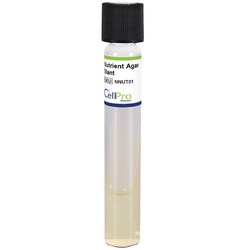 Alkali Scientific&nbsp;Nutrient Agar Slant 10mL Tube, 10/Pk