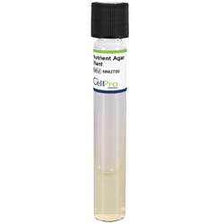 Alkali Scientific&nbsp;Nutrient Agar Slant 4mL Tube, 10/Pk