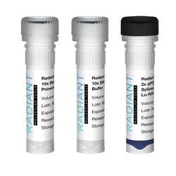 Alkali Scientific&nbsp;Radiant&trade; Library Quant Kit Blue for Illumina Lo ROX, w/ Standards, Primers & Buffer, 100 x 20μL Reactions