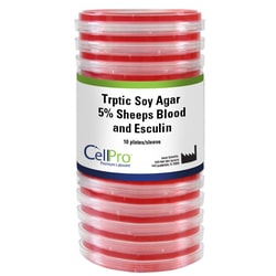 Alkali Scientific&nbsp;Trptic Soy Agar w/5% Sheeps Blood and Esculin 20mL, 10/Pk