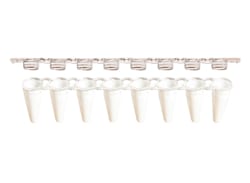 Alkali Scientific&nbsp;ProCycle&trade; 0.1mL 8 Strip White PCR Tubes with Separate Flat Caps, 125 Strips/Pack