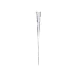 Alkali Scientific&nbsp;Gel Loading Flat Tips, 200uL 83mm Length, Outer Diameter: 0.17 mm, 960 tips/Case, DNase, RNase & Pyrogen Free