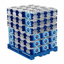 Enterprise Technology Solutions&nbsp;Nestle Waters North America  Purified Bottled Water, .5 Liter, 1872/PL