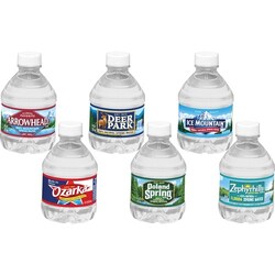 Enterprise Technology Solutions&nbsp;Nestle Waters North America  Natural Spring Water, 8oz, 48/CT, Blue