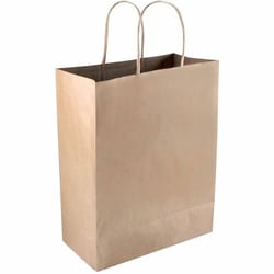 Enterprise Technology Solutions&nbsp;Consolidated Stamp Mfg.,Co.  Shopping Bag, Paper, 13