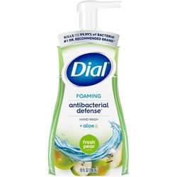 Enterprise Technology Solutions&nbsp;Dial Corporation  Handwash, Foaming, Fresh Pear, 10oz Pump Bottle, 8/CT