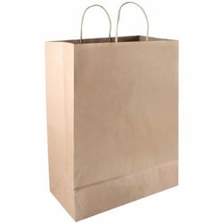 Enterprise Technology Solutions&nbsp;Consolidated Stamp Mfg.,Co.  Shopping Bag, Paper, 17