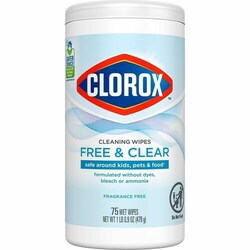 Enterprise Technology Solutions&nbsp;Clorox Company  Wipes, Free&Clear, 75 Wipes, 4-1/4