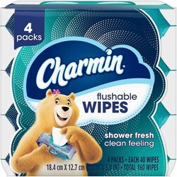 Enterprise Technology Solutions&nbsp;Procter & Gamble Commercial  WetWipes,Flushable,Re-SealTop,Portable,40Wipes/Pouch,4/PK,BE