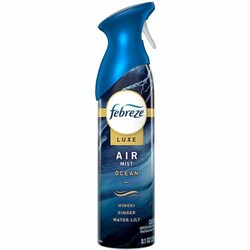 Enterprise Technology Solutions Procter & Gamble Commercial Air Freshener