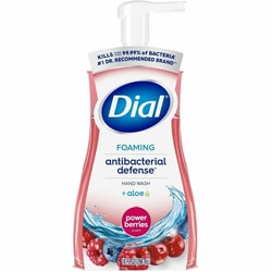 Enterprise Technology Solutions&nbsp;Dial Corporation  Handwash,Foam,Pump Bottle,10oz,Power Berries,8/CT,RD