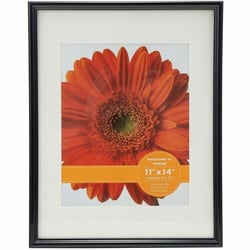 Enterprise Technology Solutions&nbsp;Victory Light USA LLC  Frame,f/Posters&Photos&Docs,w/ResizingMat,11
