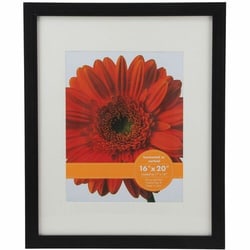 Enterprise Technology Solutions&nbsp;Victory Light USA LLC  Frame,f/Posters&Photos,w/ResizingMat,16