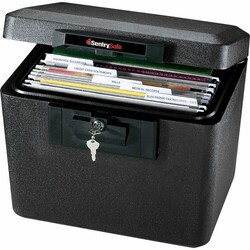 Enterprise Technology Solutions&nbsp;Sentry Safe  Fire Safe, w/Privacy Key, 15-1/4