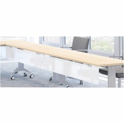 Enterprise Technology Solutions&nbsp;Special-T  Modesty Panel, f/ 60