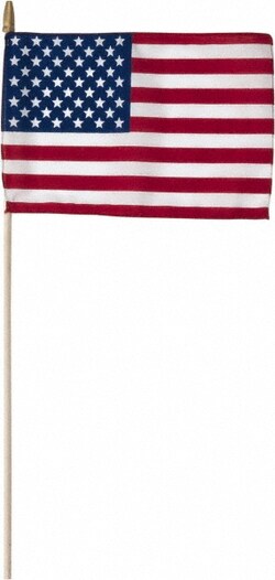 MSC&nbsp;HAND HELD AMERICAN FLAG