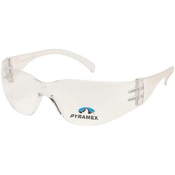MSC&nbsp;INTRUDER SC SFTY GLASSES