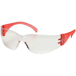 MSC&nbsp;INTRUDER SAFETY GLASSES