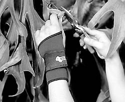 MSC&nbsp;FLA ORTH WRIST SUPPORTS