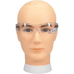 MSC&nbsp;ANTI-FOG SAFETY EYEWEAR