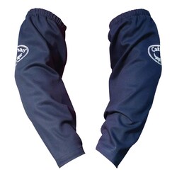 MSC&nbsp;CAIMAN FR CTN SLV