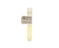 Discovery Life Sciences&nbsp;Leukemia CML BMMC