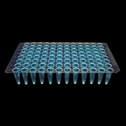Analytical Sales & Services&nbsp;Blue 200µL PCR Plate - Flat Well Rim, No Skirt