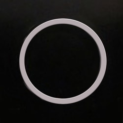 Analytical Sales & Services&nbsp;Filter Retainer Ring