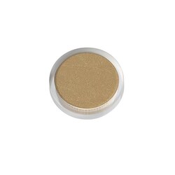 Analytical Sales & Services&nbsp;Replacement 10µm PEEK Frit with Natural Kel-F Ring for Biocompatible Inline Filters