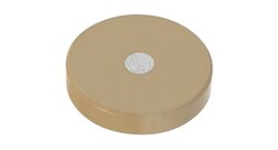 Analytical Sales & Services&nbsp;SS Micro Filter Frit - 2.0µm, .038