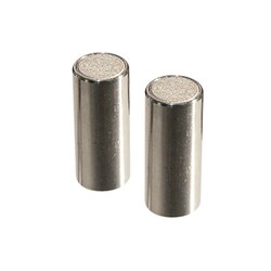 Analytical Sales & Services&nbsp;Echelon Semi-Prep SS Guard Cartridge, C18, 10µm, 30mm x 10mm ID