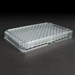 Analytical Sales & Services&nbsp;96 Well, Flat Bottom Clear PS Microplate, 25-340µL working volume per well