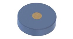 Analytical Sales & Services&nbsp;Replacement 0.5µm PEEK Frits
