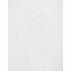 Enterprise Technology Solutions&nbsp;Genuine Joe  Floor Pads, f/Polishing, 14
