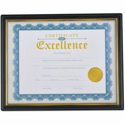 Enterprise Technology Solutions&nbsp;Universal  Document Frames, Plastic, 8.5 x 10 Insert, Black/Gold, 3/Pack