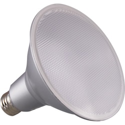 Enterprise Technology Solutions&nbsp;Satco Products, Inc.  Bulb,LED,PAR38,15W,3000K,WarmWhite