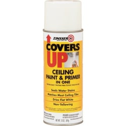 Enterprise Technology Solutions&nbsp;Rust-Oleum  Ceiling Paint/Primer, Vertical Spray, 13 oz, WE