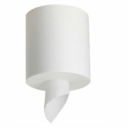 Enterprise Technology Solutions&nbsp;Georgia-Pacific  Paper Towels,Center Pull,7-4/5