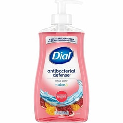 Enterprise Technology Solutions&nbsp;Dial Corporation  Hand Soap,Liqd,Antibacterial,Pomgnte/Tangerine,11oz,12/CT,RD