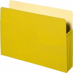 Enterprise Technology Solutions&nbsp;Business Source  Accordion Pocket,3-1/2
