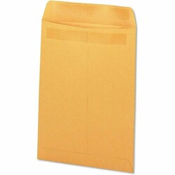 Enterprise Technology Solutions&nbsp;Business Source  Envelope,Catalog,Self-Seal,Dual-Adhesive,Moisture-Free,#28,10