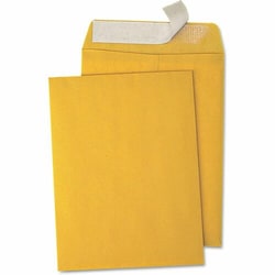 Enterprise Technology Solutions&nbsp;Business Source  Envelopes,Catalog,Peel&Stick,9