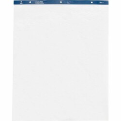 Enterprise Technology Solutions&nbsp;Business Source  Standard Easel Pads, Plain, 27