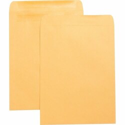Enterprise Technology Solutions&nbsp;Business Source  Press/Seal Catalog Envelopes,Plain,10