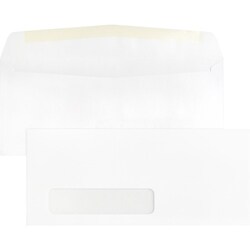 Enterprise Technology Solutions&nbsp;Business Source  Window Envelopes,No 10.,Side Seam,4-1/8
