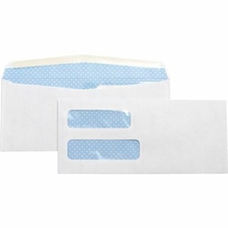 Enterprise Technology Solutions&nbsp;Business Source  Double Window Envelope,No. 10,9-1/2