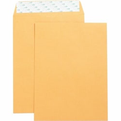 Enterprise Technology Solutions&nbsp;Business Source  Catalog Envelopes,Self Seal,Plain,9