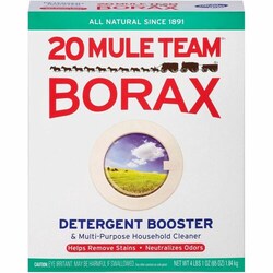 Enterprise Technology Solutions&nbsp;Dial Corporation  Laundry Booster, Powder, 9