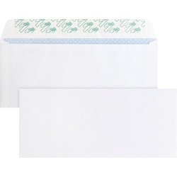 Enterprise Technology Solutions&nbsp;Business Source  Peel/Seal Envelopes, No.10, Tint, 4-1/8